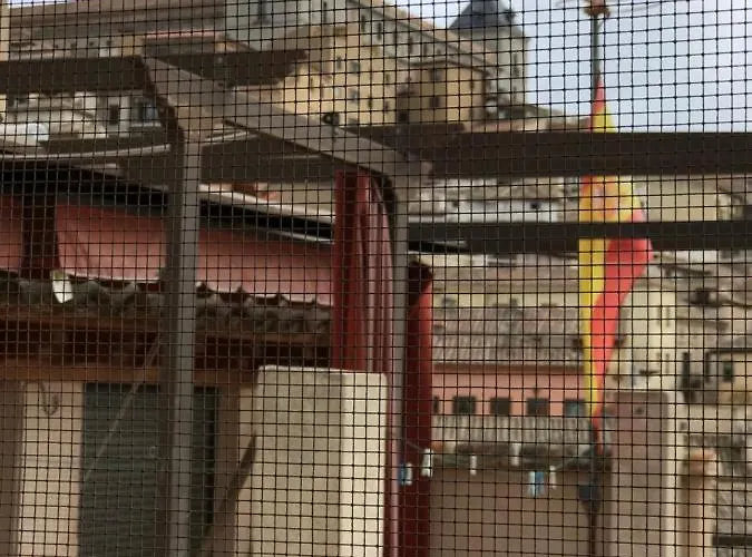 Hospederia Casa De Cisneros 2*